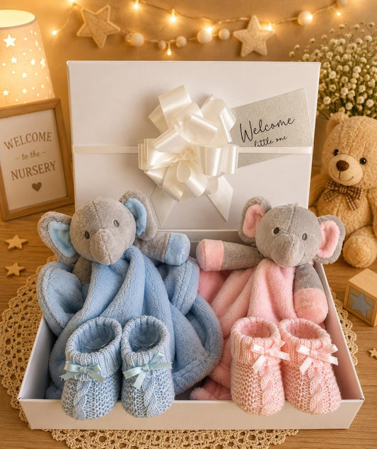 Twin Baby Gift Hamper | Newborn Twins Gift Basket | Boy & Girl Baby Gift | Twin Baby Shower Gift | Luxury Baby Hamper