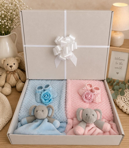 Twin Baby Shower Gift Set | Newborn Twins Gift Box | Boy  Girl Twin Gift | Pink & Blue Baby Hamper | Twins Present